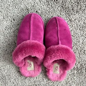 UGG scuffette slippers